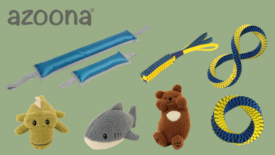 Extranet-Beitrag Neuheiten azoona 2025-11-13 